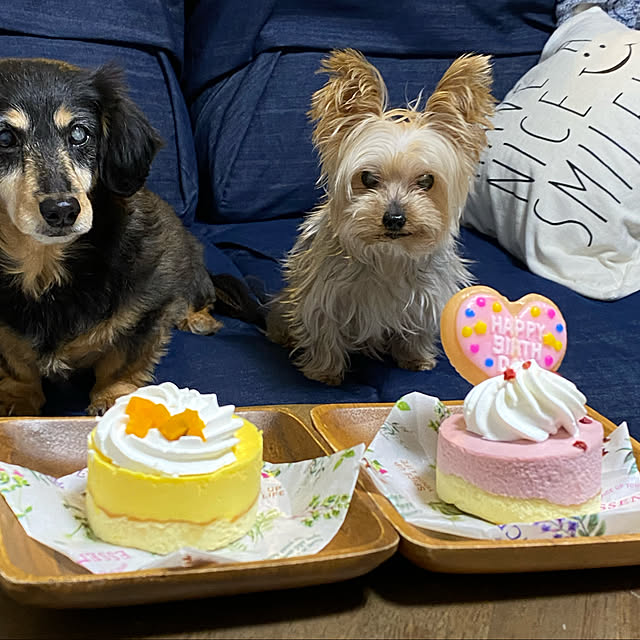 カボチャムース&ベリームース/セシルの12歳のお誕生日/無印良品/こどもと暮らす/シニア犬と暮らす...などのインテリア実例 - 2022-03-05 18:18:51