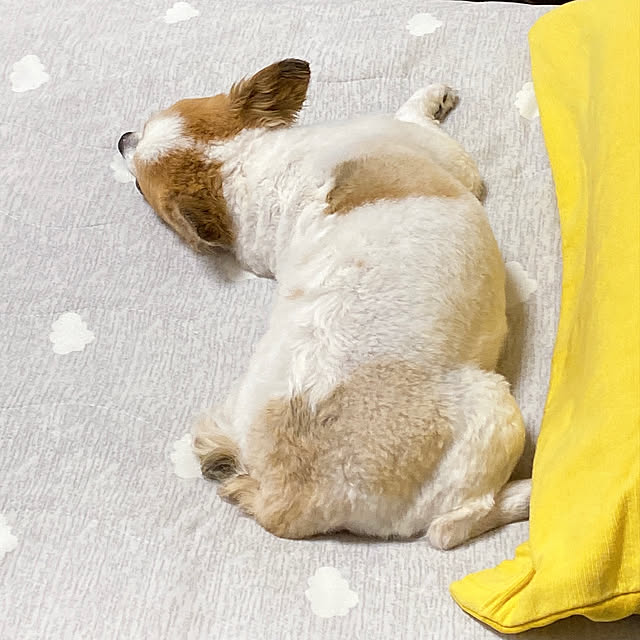 anさんの実例写真
