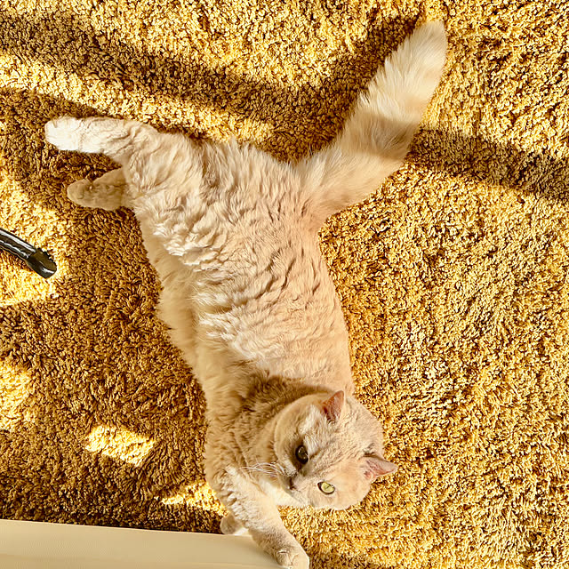 naokoさんの部屋