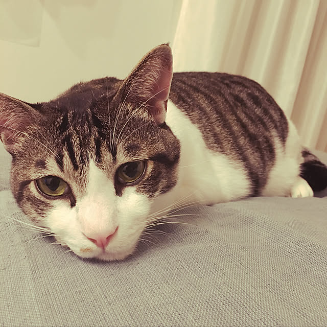 nomu2さんの実例写真