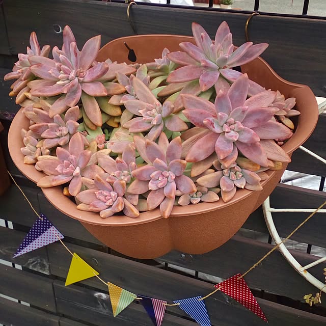 VERANDARJUNさんの実例写真