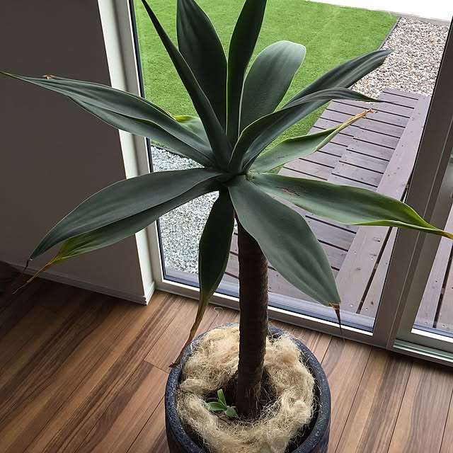 RANさんの実例写真
