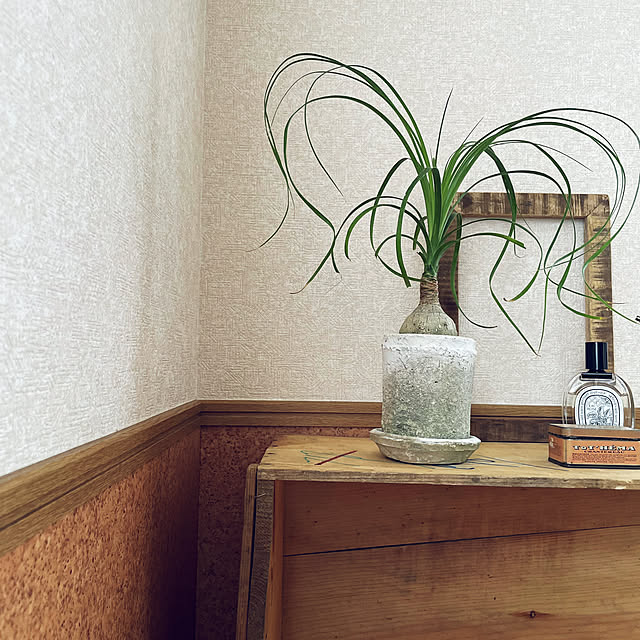 t.t.nさんの部屋