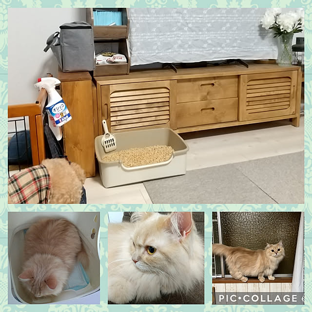 tomomiさんの実例写真