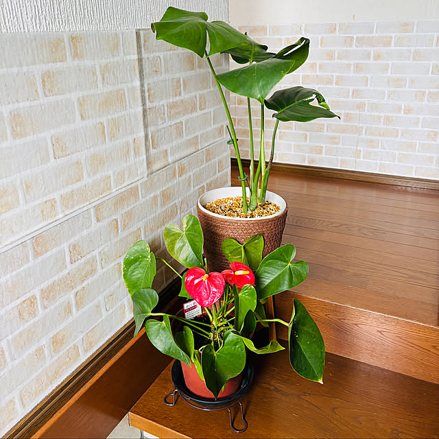 3setai_gurashiさんの部屋