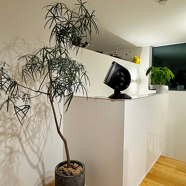 monaural-lifeさんの実例写真