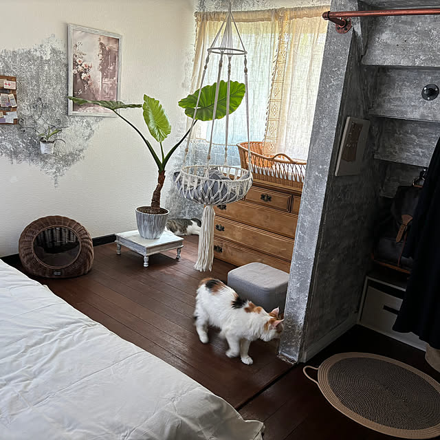 Mikazukiさんの部屋