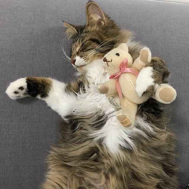 yuchiさんの実例写真