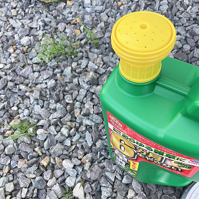 michanさんの実例写真