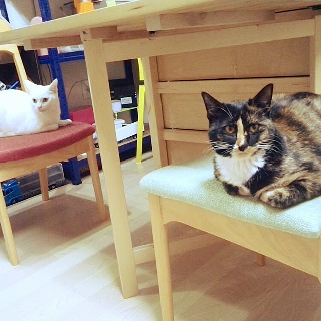 h-a-ri.mamaさんの実例写真