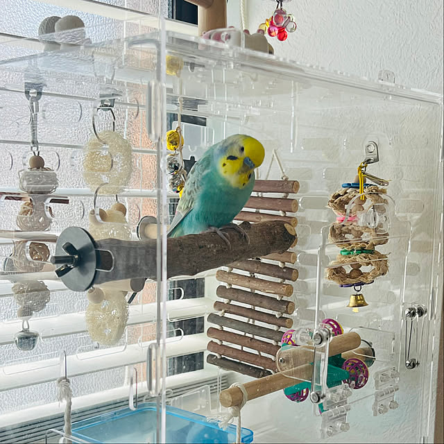 kurumeruさんの実例写真