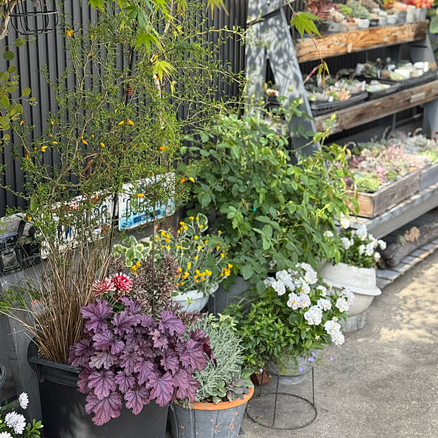 Tomokoさんの部屋