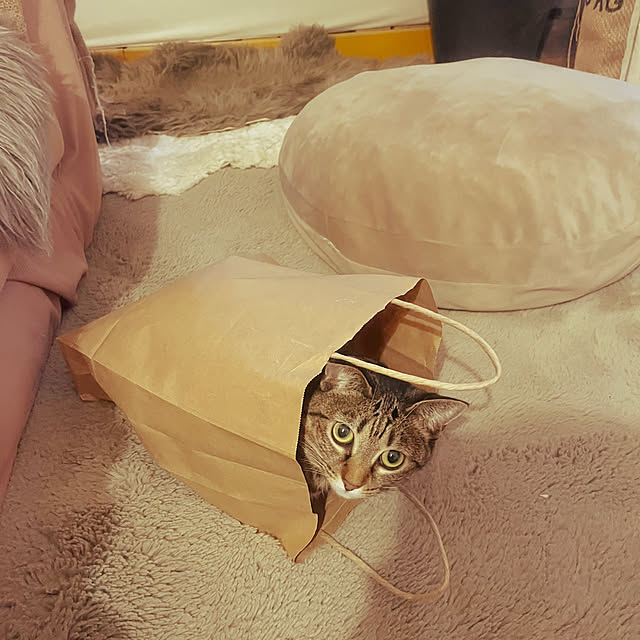 Mさんの部屋