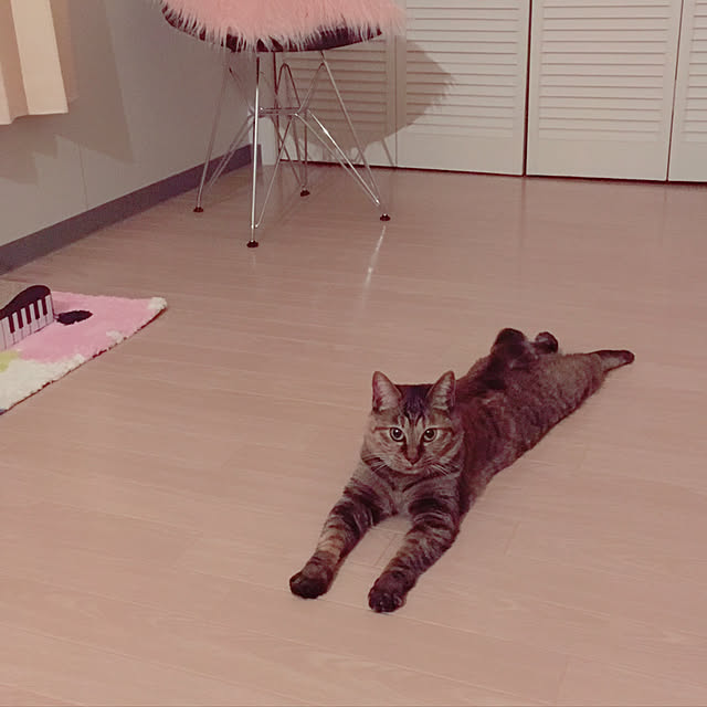 棚のインテリア実例 - 2018-01-01 23:28:06