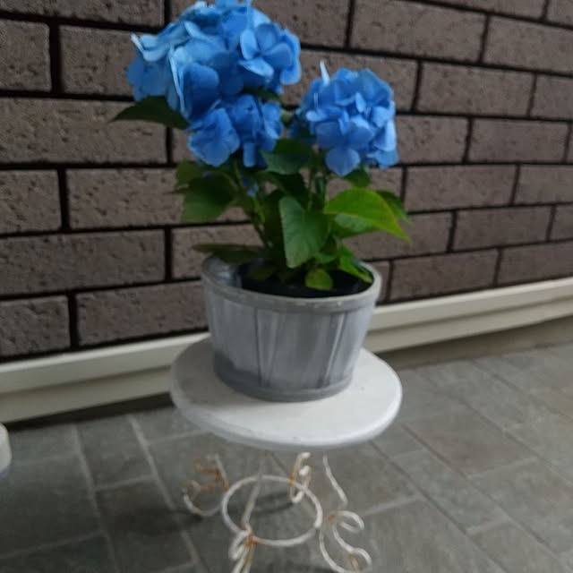 Rさんの部屋