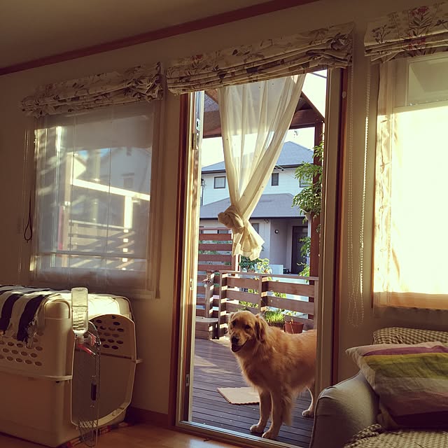 bigsunny0103さんの実例写真