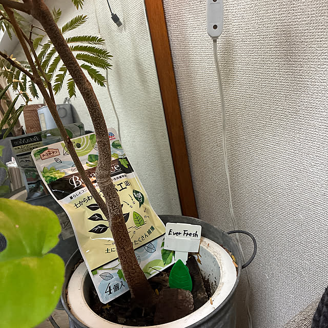 cagosukiさんの実例写真