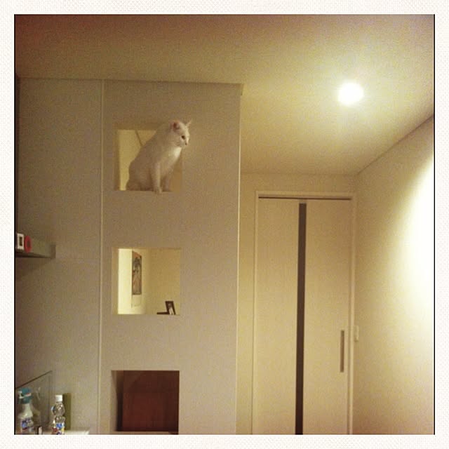 mameさんの実例写真
