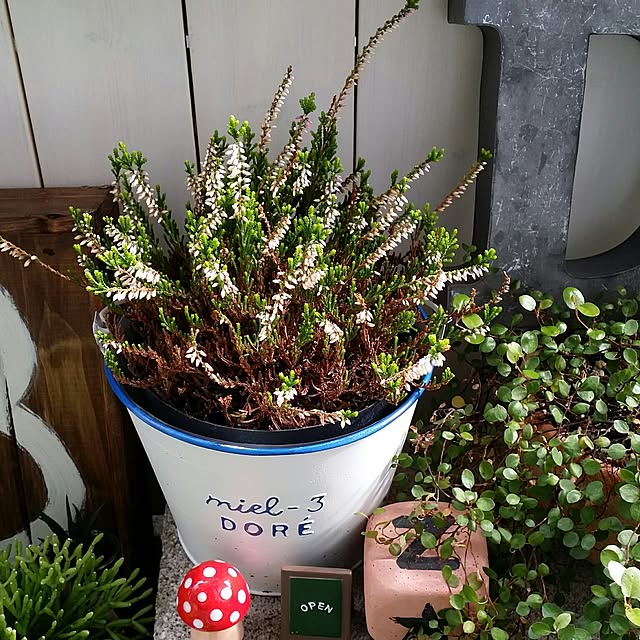 karinさんの実例写真