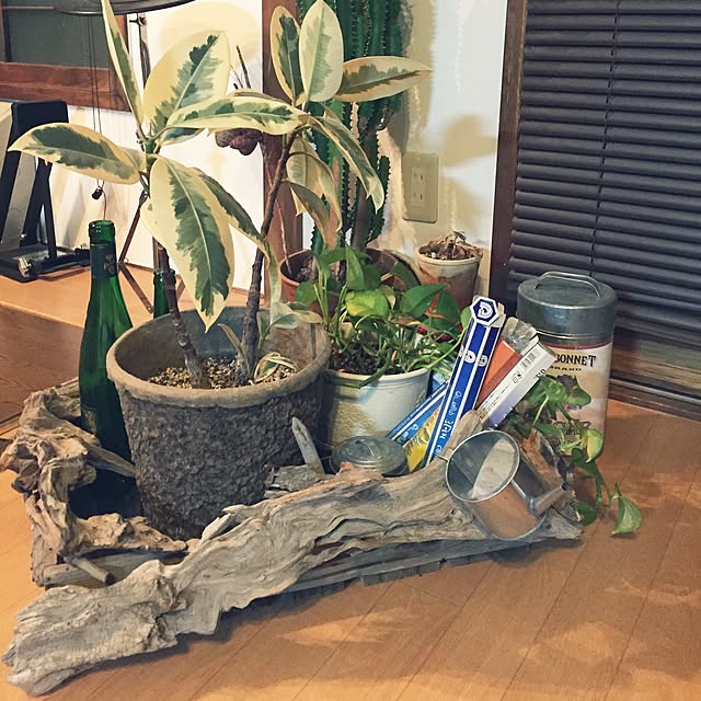 yukkoさんの実例写真