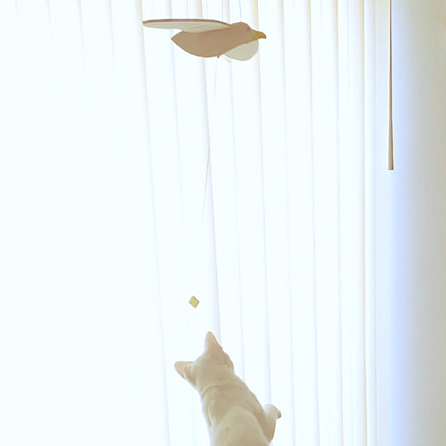 UMiさんの実例写真