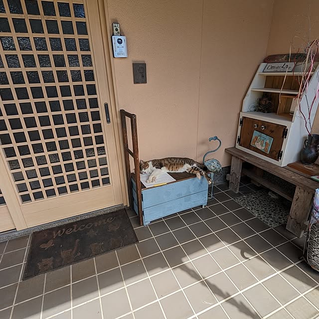実例写真