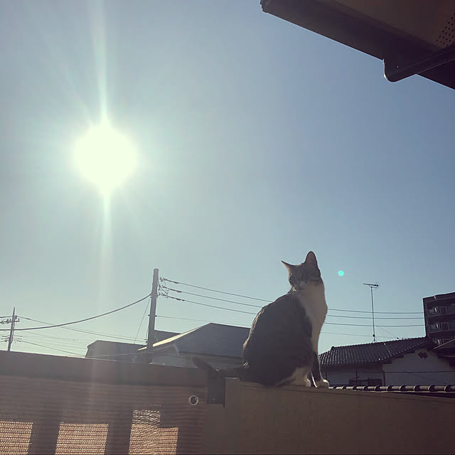 yurari.bonnさんの実例写真