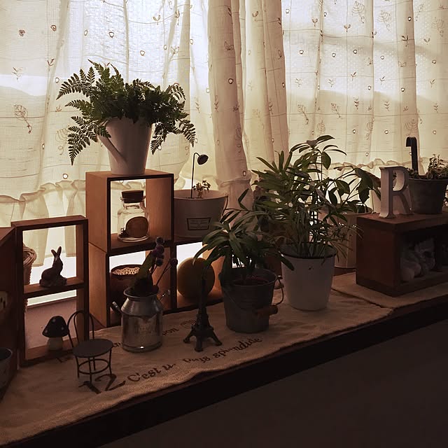 greenjasmineさんの実例写真