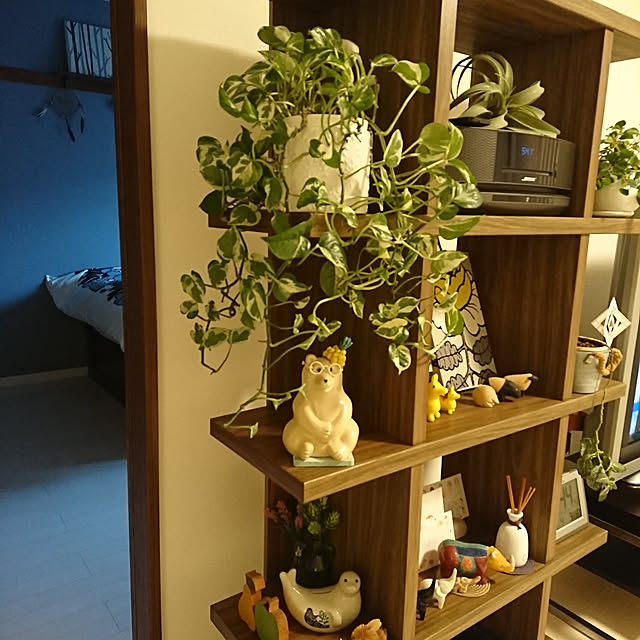 sayurinさんの実例写真