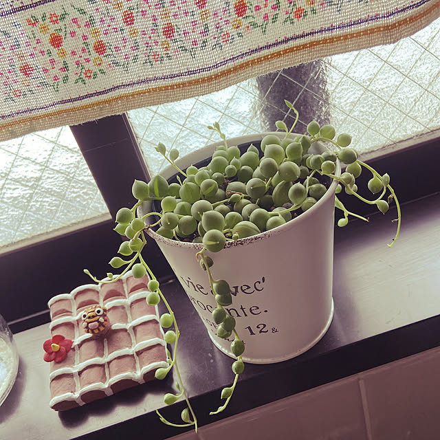 teasteeさんの実例写真