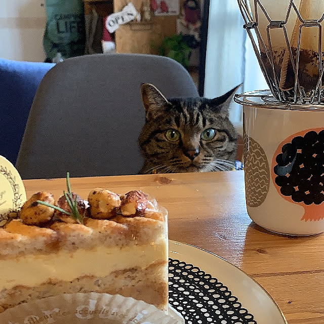 Ribbonさんの実例写真