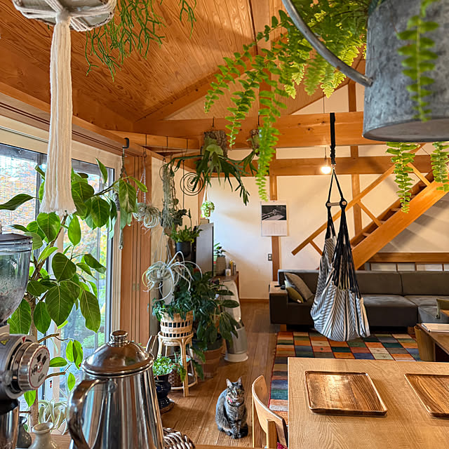 onsix777さんの部屋