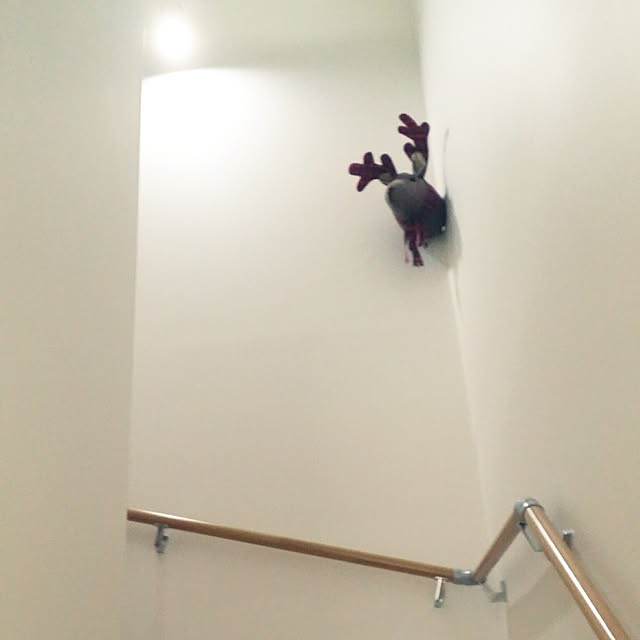 jjeennnniiffeerrさんの実例写真