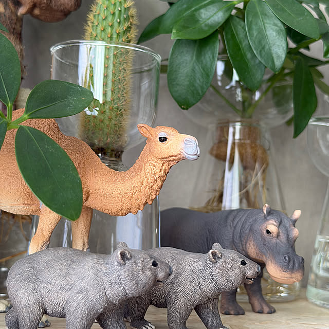 Yoshimiさんの部屋