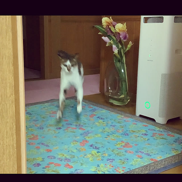 haruminさんの実例写真
