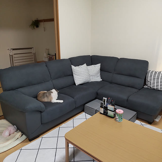 akipopoさんの実例写真