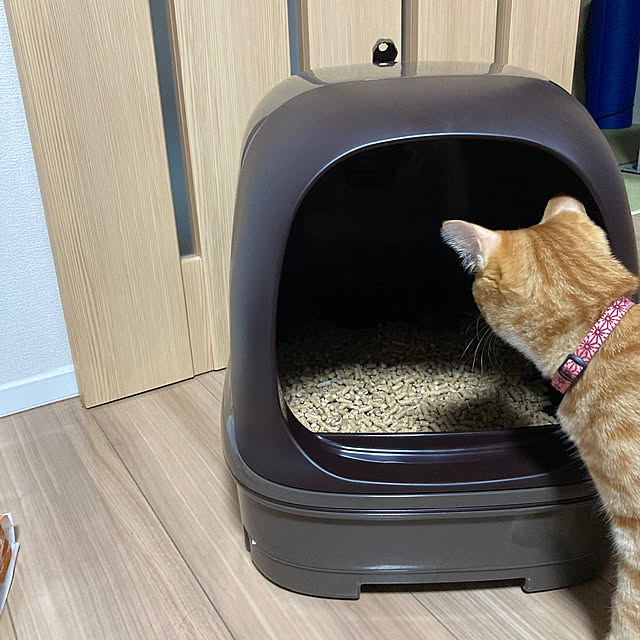 abebiさんの実例写真