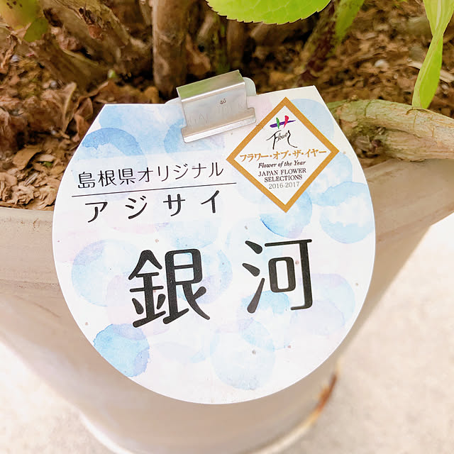 yukiminさんの部屋