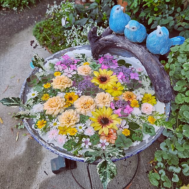 mocomocoさんの実例写真