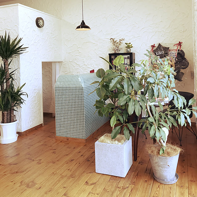 部屋全体/観葉植物のインテリア実例 - 2018-07-26 16:47:55