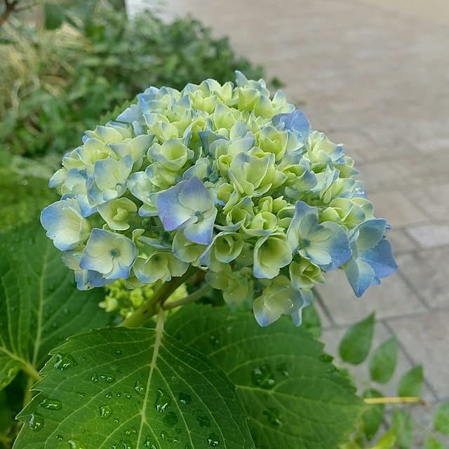 Rさんの実例写真