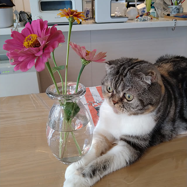takiko0407さんの実例写真