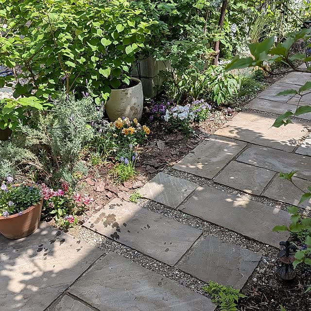 nolleyさんの部屋