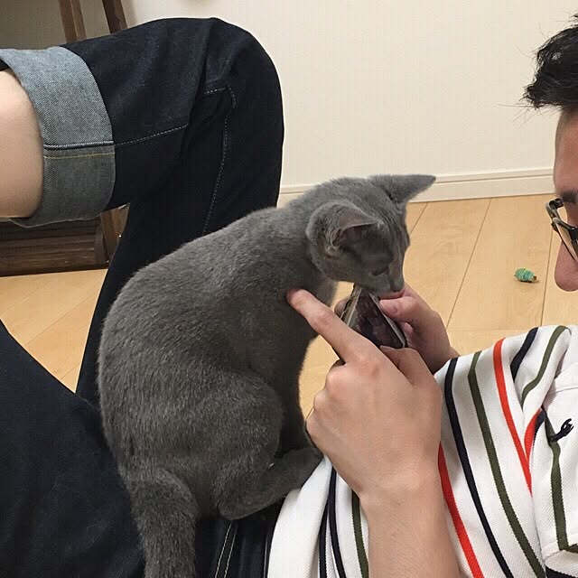 maripoさんの実例写真