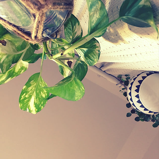 parrotさんの実例写真