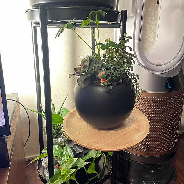 Ichiro_Tanakaさんの部屋