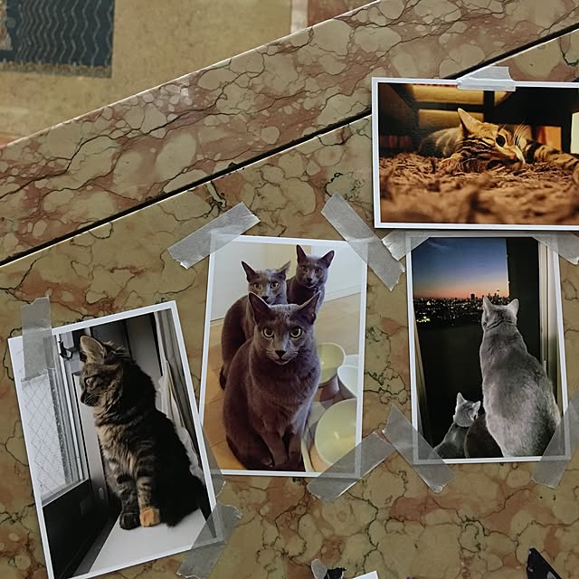 mikomaruさんの実例写真
