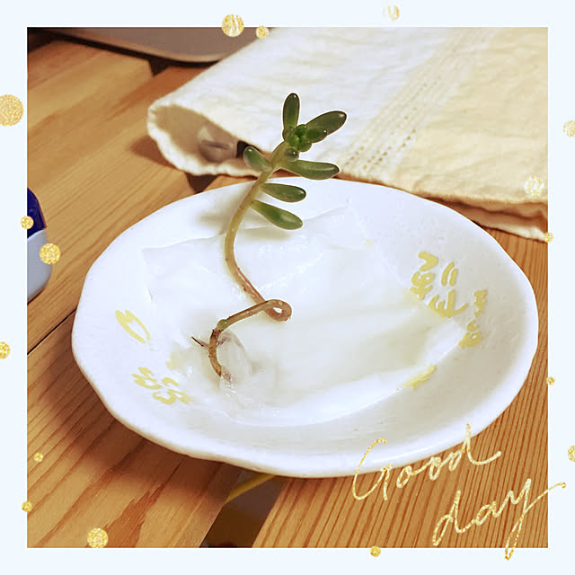NaturalMarbleYoghurtさんの実例写真