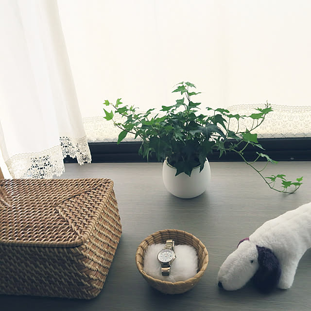ficus38さんの実例写真