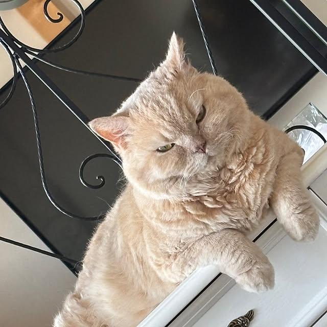 naokoさんの部屋